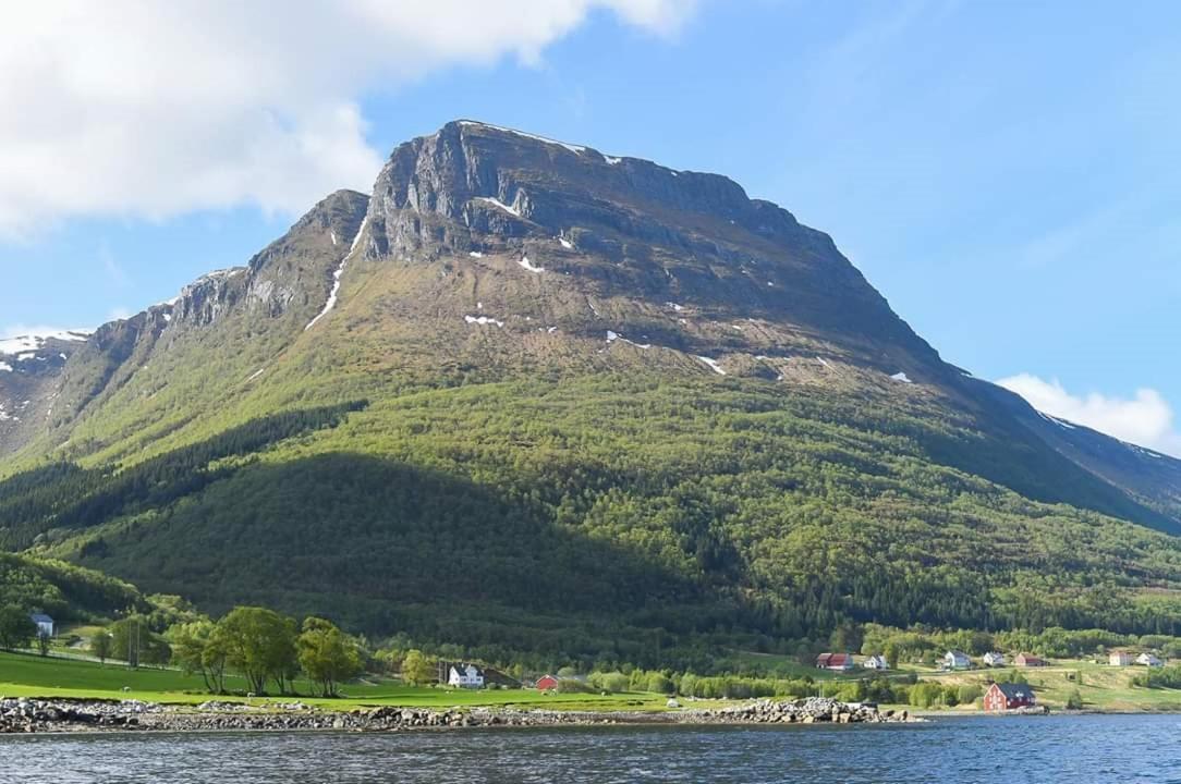 Rekdal Villa Vestnes Eksteriør billede